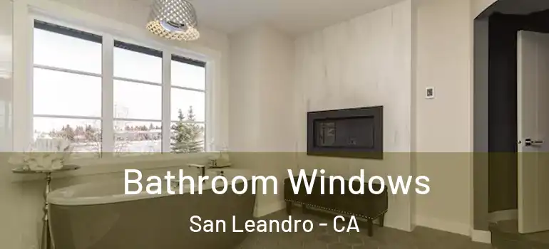  Bathroom Windows San Leandro - CA