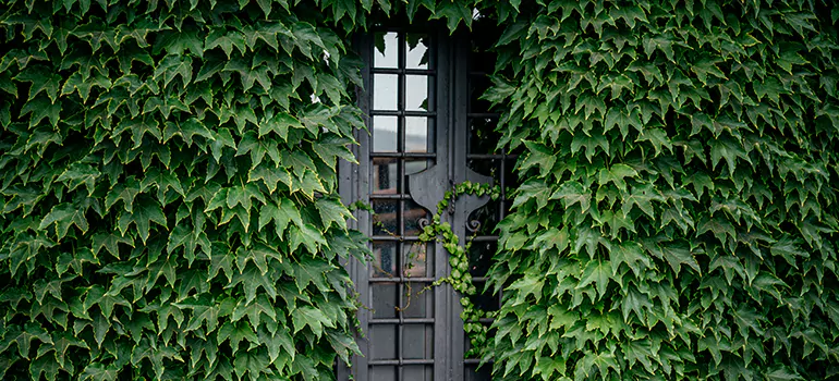 Garden Gate Repair in San Leandro, CA
