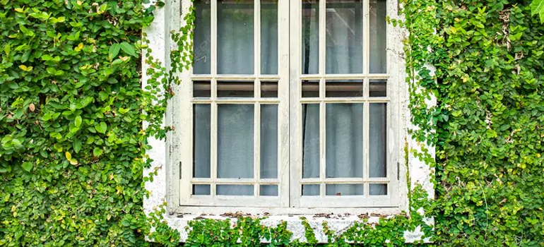 Garden Window Repair Near Me in San Leandro, CA