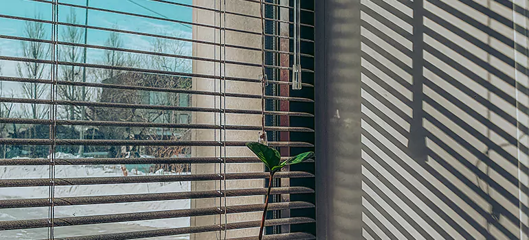 Commercial Window Blinds in San Leandro, CA