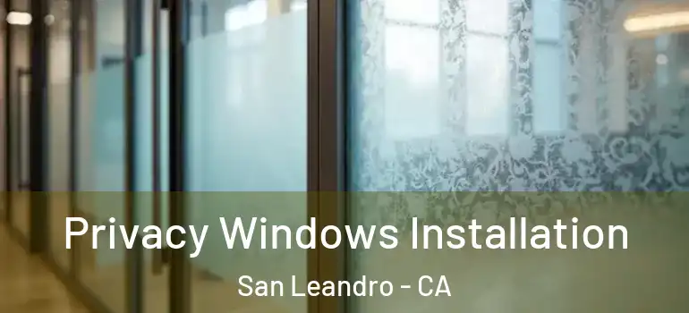  Privacy Windows Installation San Leandro - CA