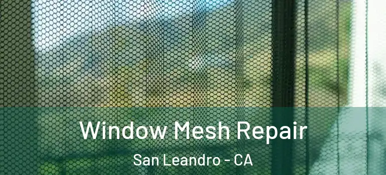  Window Mesh Repair San Leandro - CA