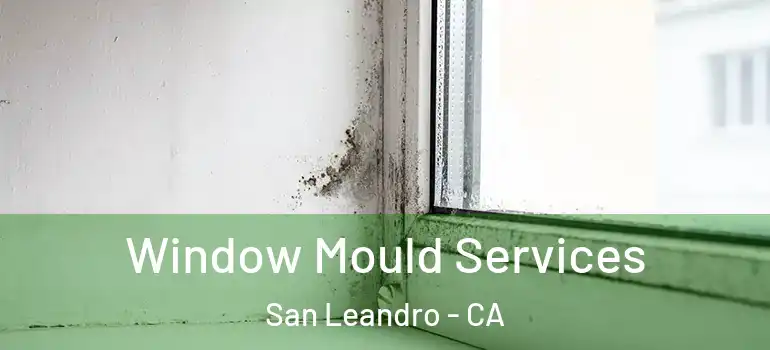  Window Mould Services San Leandro - CA