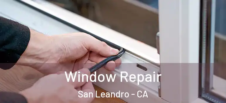  Window Repair San Leandro - CA