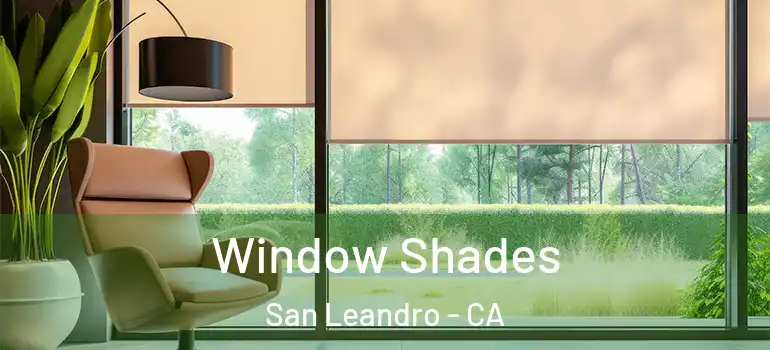  Window Shades San Leandro - CA